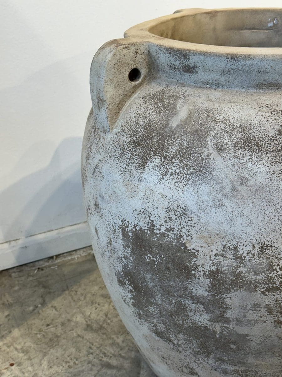 Terra – ואזה אוזן XL – תמונה 2