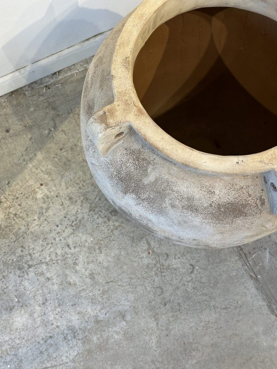 Terra – ואזה אוזן XL – תמונה 3