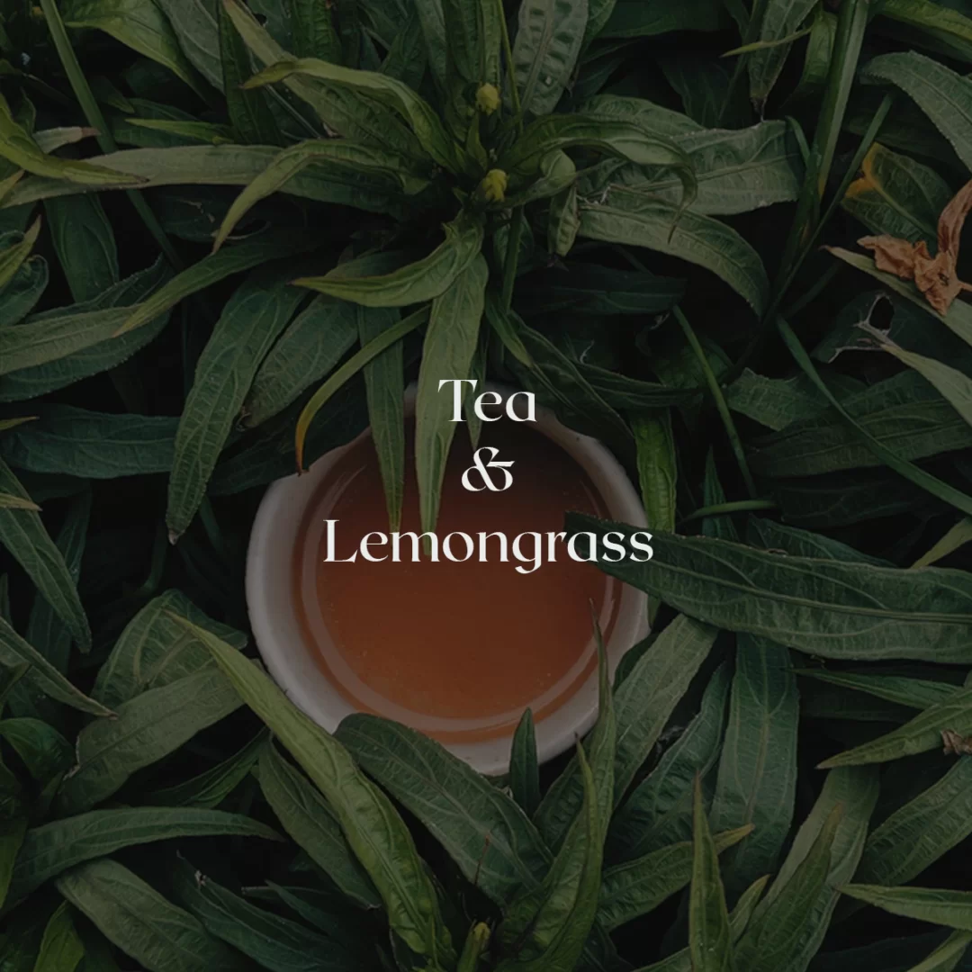 נר גדול Tea & lemongrass – תמונה 4